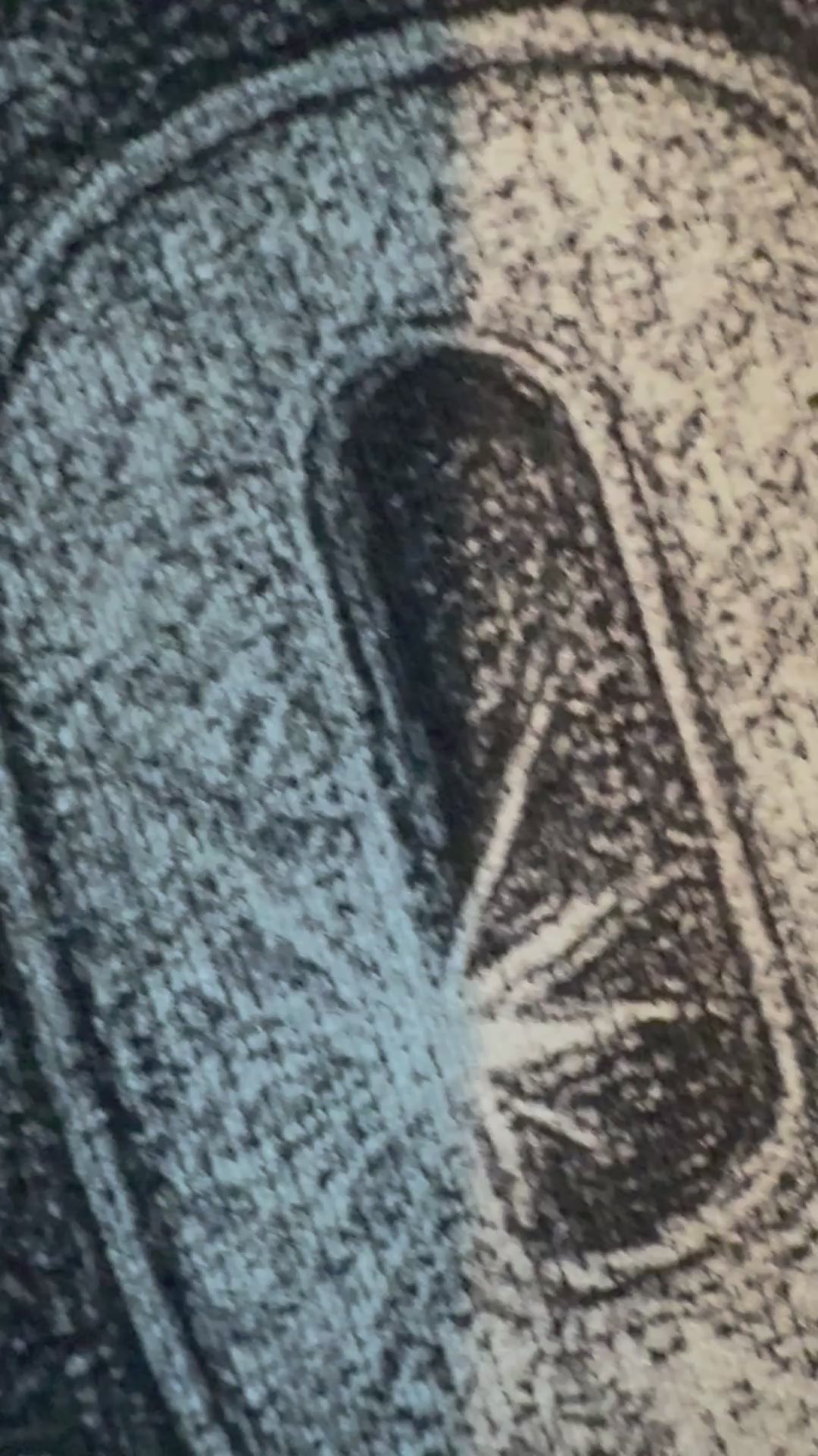 "2025 Championship Ring" Hoodie